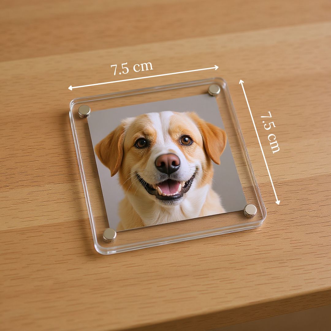 Acrylic Fridge Magnets (Square) - 7.5 CM